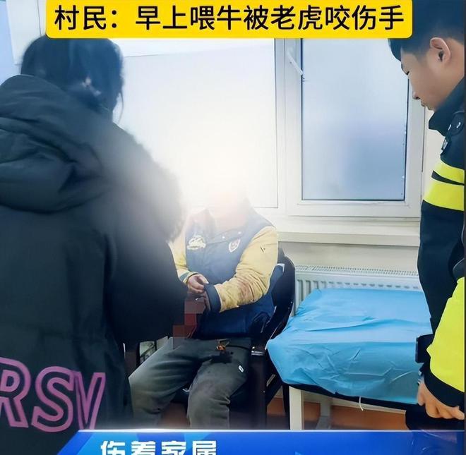 针强效麻醉剂仍行动自如晚上9点才睡着球盟会网站入口东北虎抓捕画面曝光！四(图4)